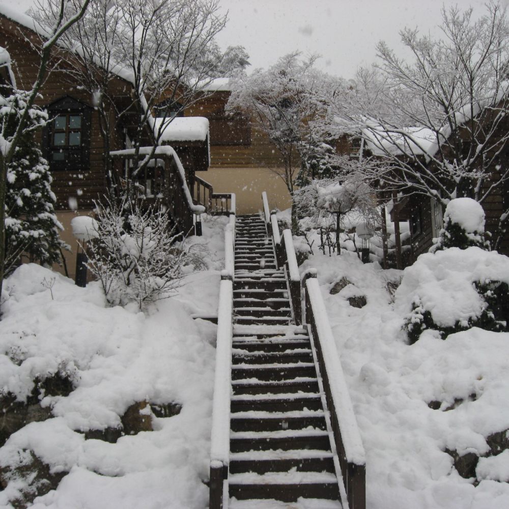 외부전경