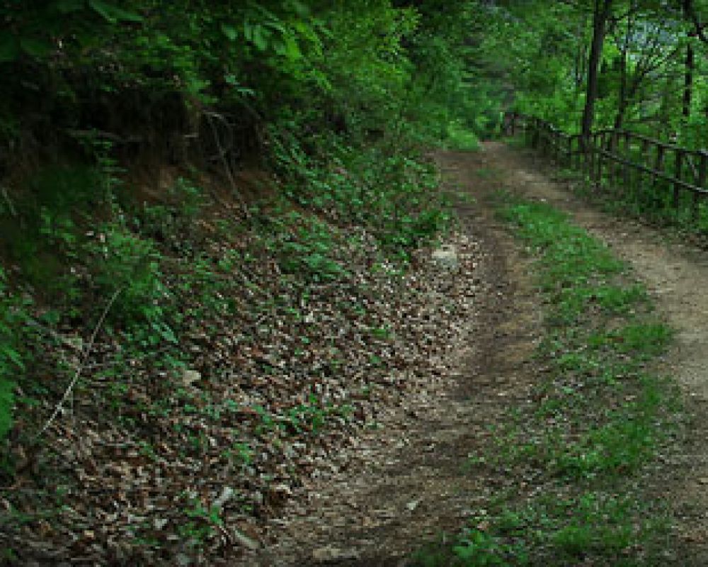 산책로